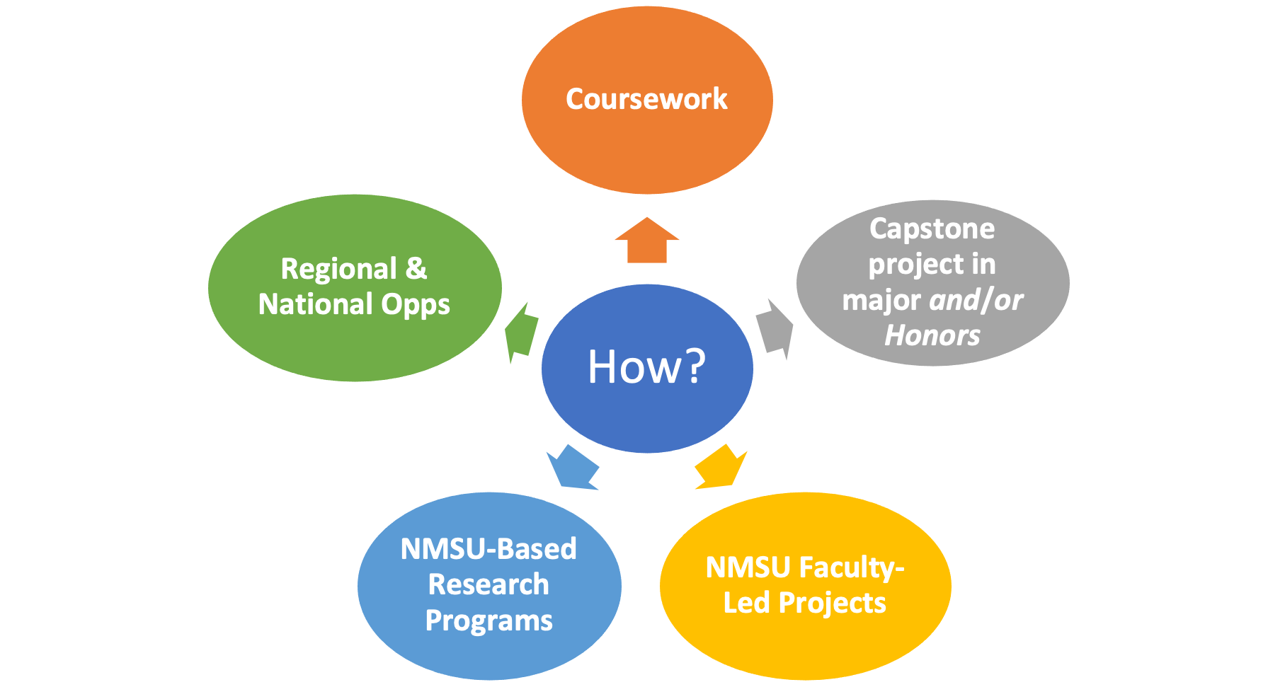 Paths into research round chart